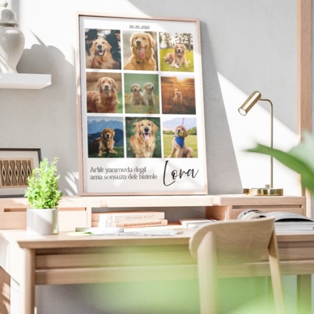 Kişiye Özel Evcil Hayvan Kolaj Posteri | 4 Fotoğraflı Kedi & Köpek Tasarımı