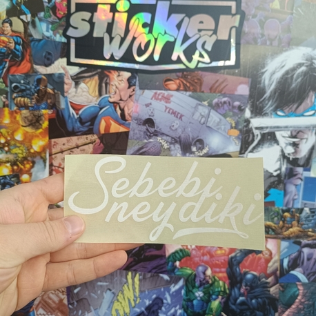 Sebebi Neydiki Sticker 
