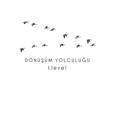 Dönüşüm Yolculuğu 1.Level
