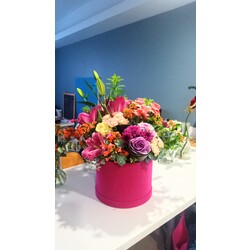 Gilda - Diflowerbox