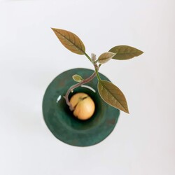 Deep Forest Avocado Planter