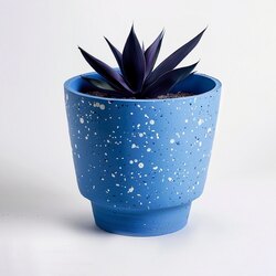 Azure Saksı