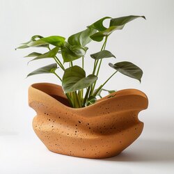 TerraCotta Saksı