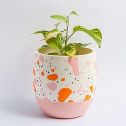Blossom Saksı