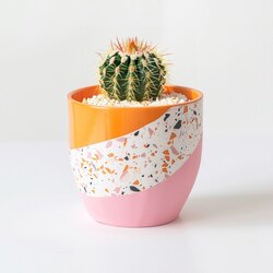 Swirl Saksı