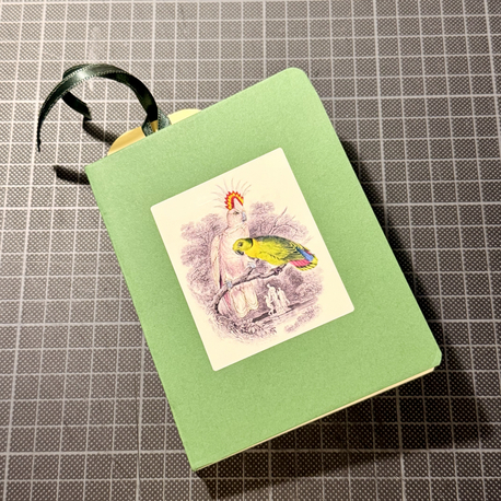 Cockatoo ve Lovebird 