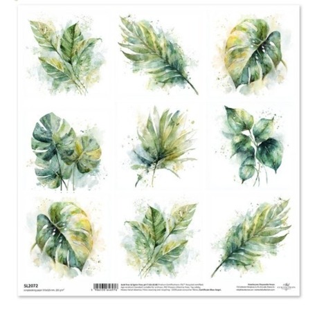 Scrapbooking kağıdı ITD Collection SL2072