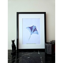 Manta Ray Art Print