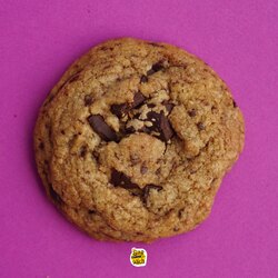 chocolate chip cookies (250 gr / 6 adet)