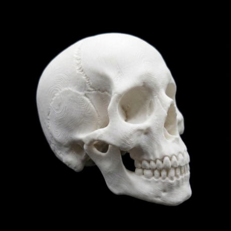 Skull Hideout 11X18X14