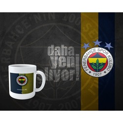 Fenerbahçe Kupa