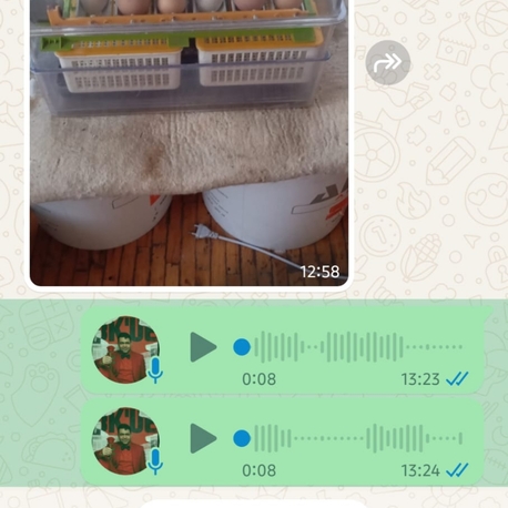 30 lu cimuka marka kuluçka makinesi 