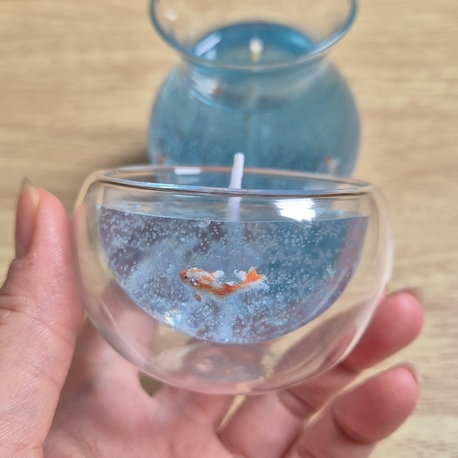 Aquarium 