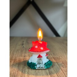 Little fairy house