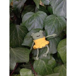 Leggy frog with yellow dress