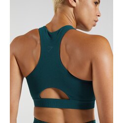 Gymshark 315 performance bra