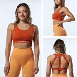Alphalete Bra