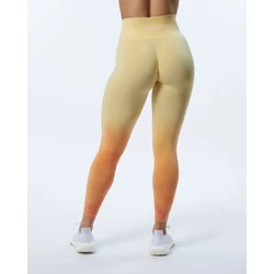 Alphalete Büzgülü Tayt Ombre
