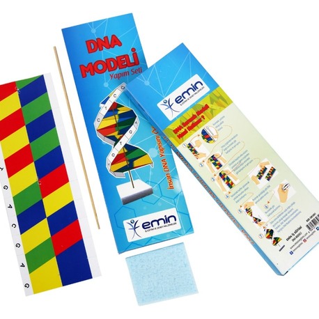 DNA Modeli Seti