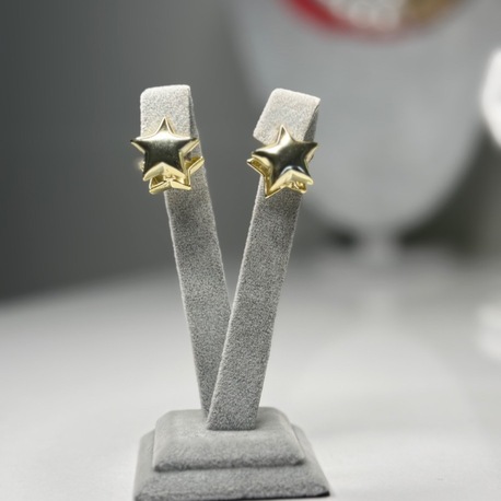 Tabir Yıldız Gold Küpe