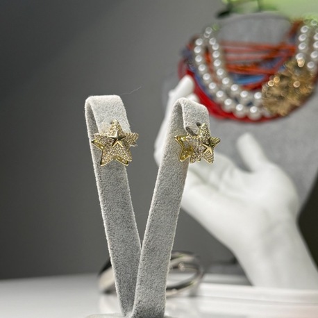 Tabir Gold Yıldız Küpe