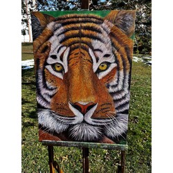 kaplan 50x70