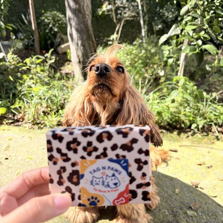 Special Pet Tag