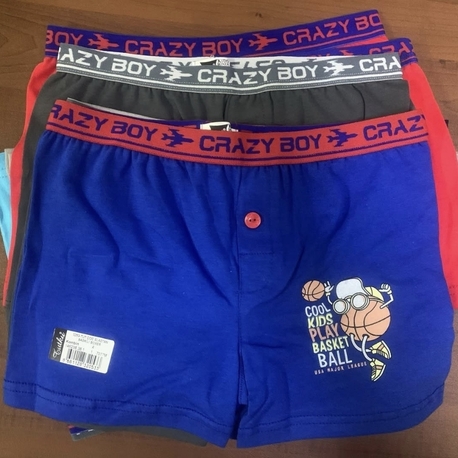 Tutku Erkek Çocuk Elestan Boxer 6lı 