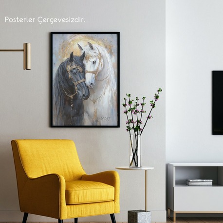 Beyaz ve Siyah At Posteri