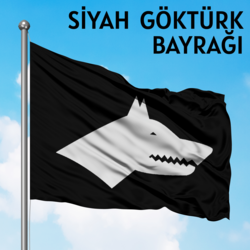 50*75 cm Siyah Göktürk Bayrağı
