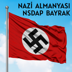 50*75 cm NSDAP Reich Nazi Bayrağı