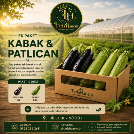 Bizimle iletişime geçin KABAK&PATLICAN EK PAKETİ 