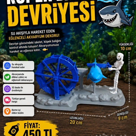 Köpek Balığı Devriyesi 
