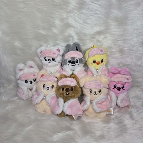 Stray kids Stay in our Little House sleepy collection skzoo plush