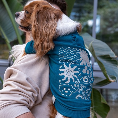      Girift Petrol Sweatshirt