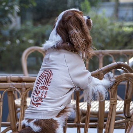Vera Vizon Sweatshirt