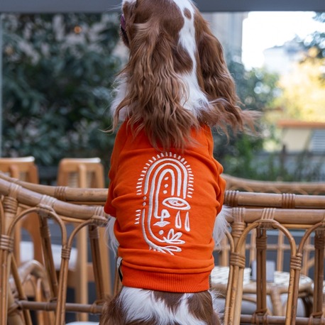     Vera Turuncu Sweatshirt