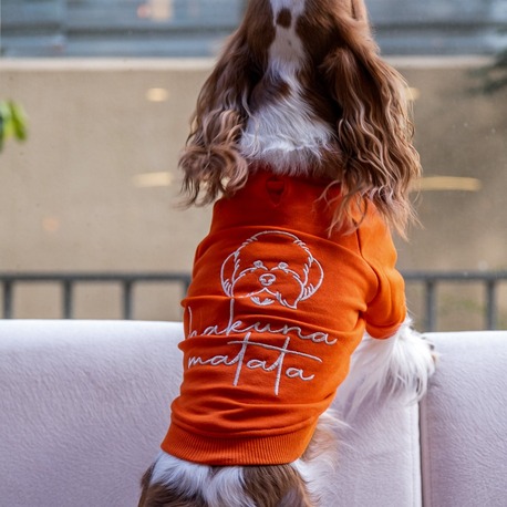      Hakuna Matata Turuncu Sweatshirt