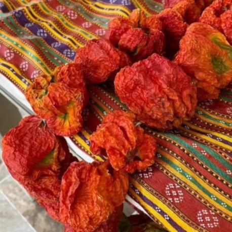 Kuru Biber Dizede (45 Adet)
