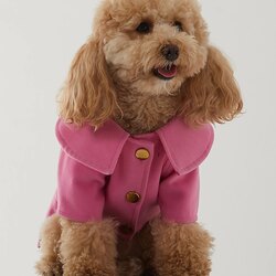 PEMBE KAŞE Mont