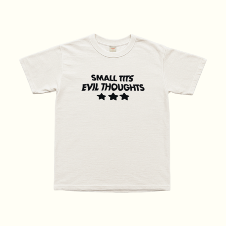 Small Tits Evil Thoughts T-Shirt