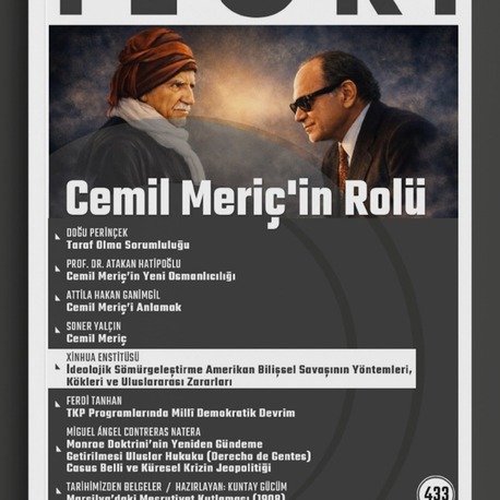 Cemil Meriç'in Rolü