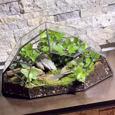 Geometrik teraryum yeşilin tonları