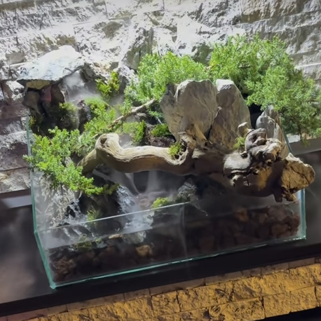Ardıç temalı şelale paludarium