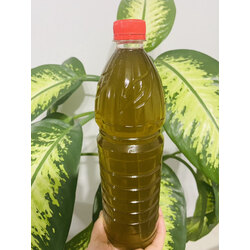 Erken hasat soğuk sıkım zeytinyağı 1 litre