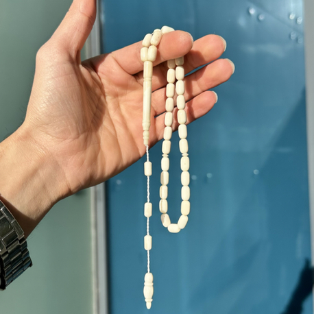 KAPSÜL KESİM DEVE KEMİĞİ
