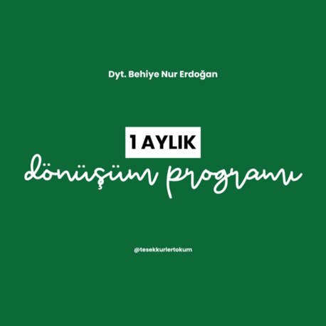 1 Aylık Dönüşüm Programı