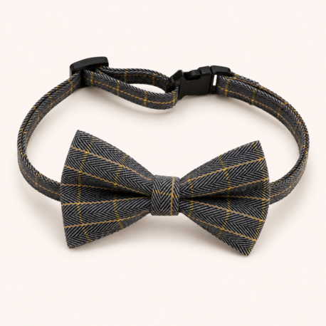 Gentleman Bow Tie Collar
