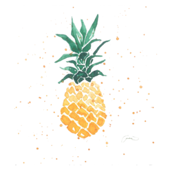 Mini Ananas / Mini Pineapple