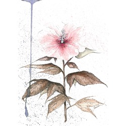 Pembe Çiçek / Pink Flower